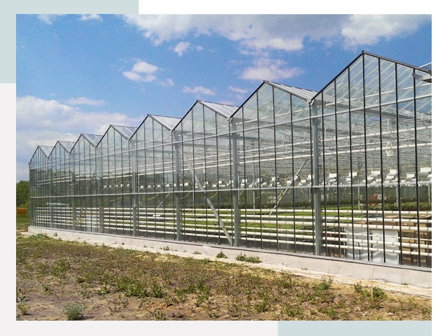 Строительство теплиц в Сокол от 625 руб. за м²